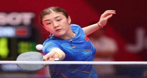 战欧洲杯的 战欧洲杯的