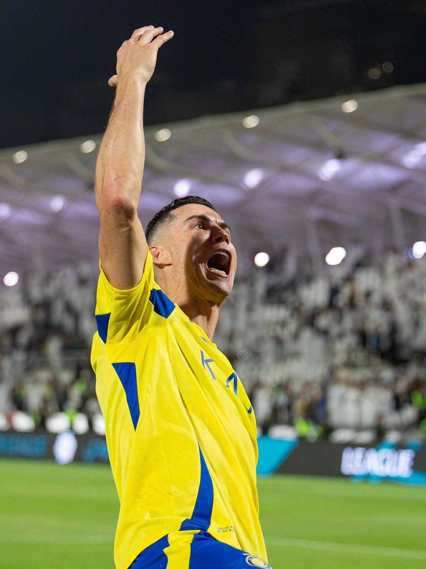 传来一则引 传来一则引