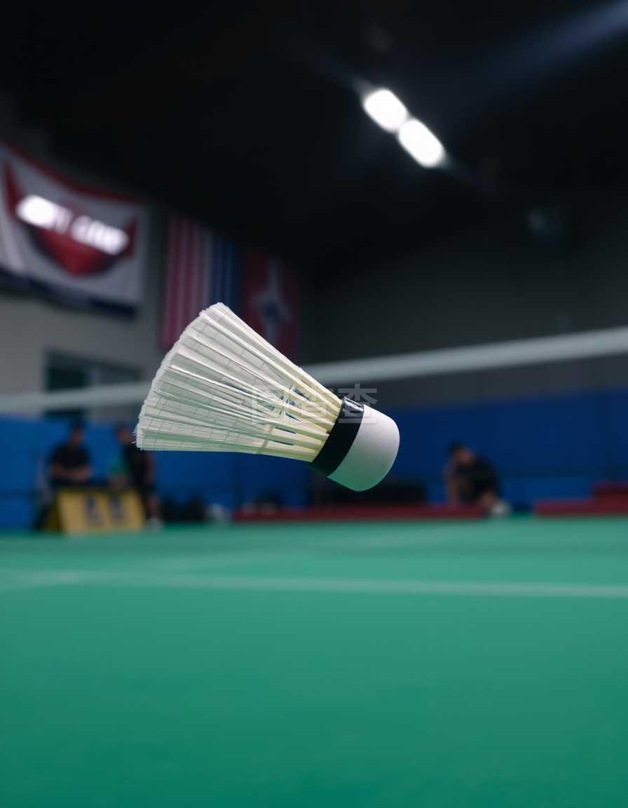 尔的摩乌鸦 尔的摩乌鸦