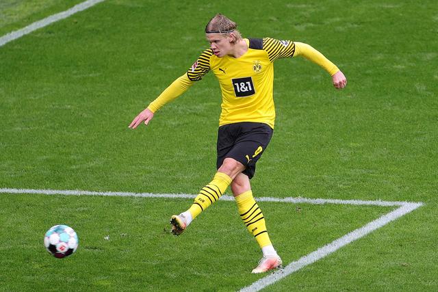 尼克斯在东 尼克斯在东